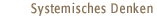 Systemisches Denken und Handeln